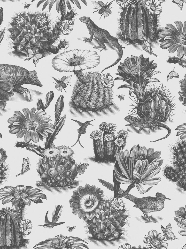 Priscilla Wallpaper - Charcoal - Divine Savages - DVS006-PRIS-CHA-WR - Premier Wallcovering