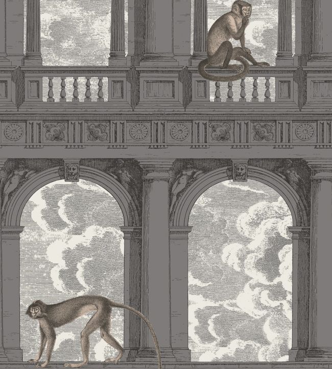 Procuratie Con Vista Wallpaper - Black & White - 114/8016 - Cole & Son - Premier Wallcovering