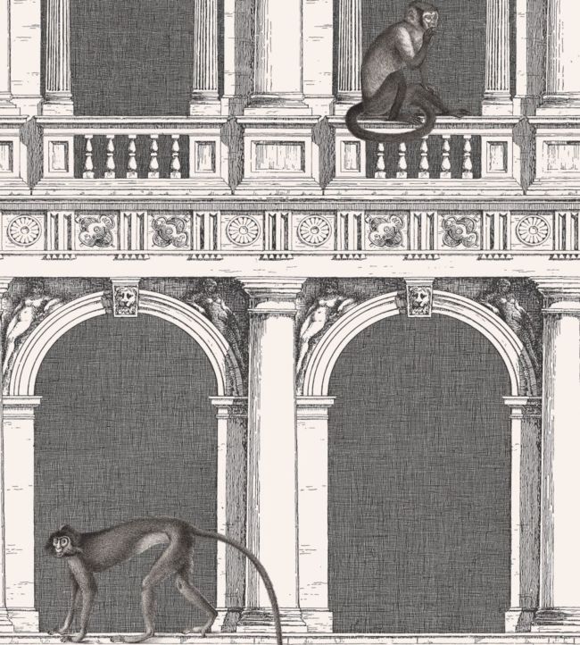 Procuratie E Scimmie Wallpaper - Black & White - 114/21041 - Cole & Son - Premier Wallcovering