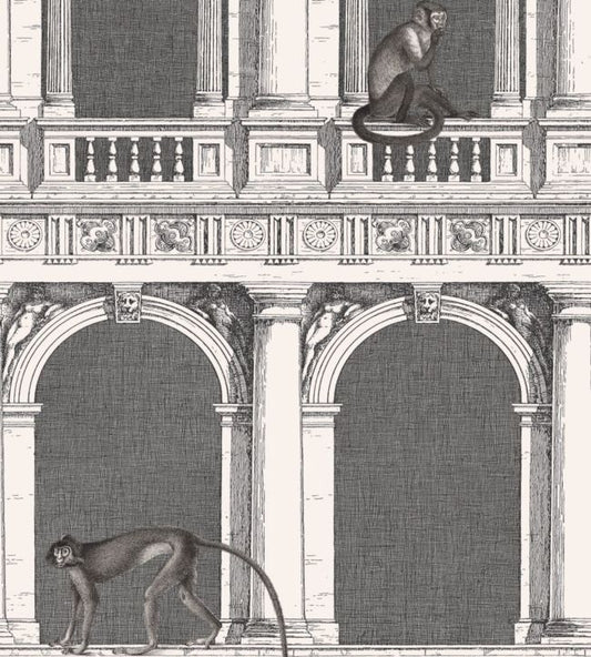 Procuratie E Scimmie Wallpaper - Black & White - 114/21041 - Cole & Son - Premier Wallcovering