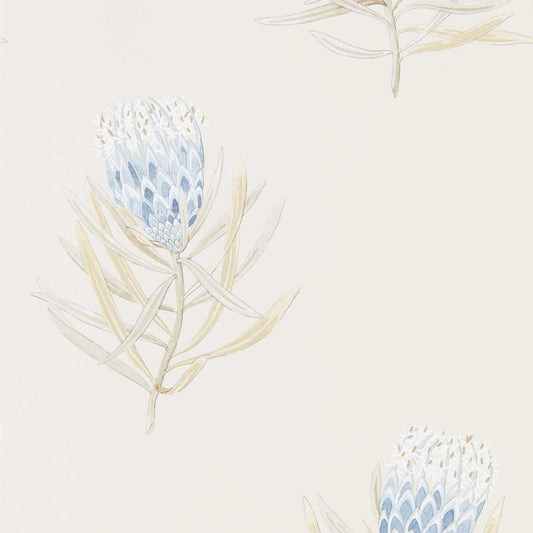 Protea Flower Wallpaper - China Blue/Canvas - Sanderson - DART216327 - Premier Wallcovering