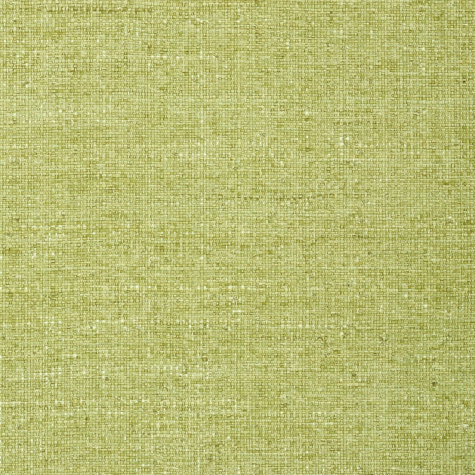 Provincial Weave Wallpaper - Spring Green - Thibaut - T72798 - Premier Wallcovering