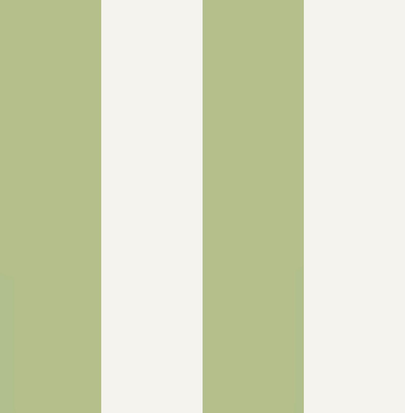 Quartet Stripe Wallpaper - Green - Graham & Brown - 131443 - Premier Wallcovering