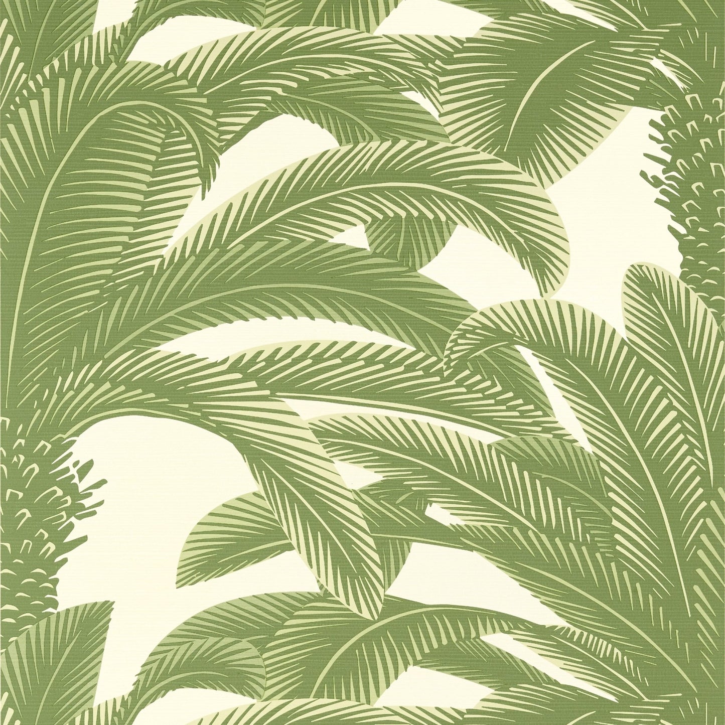 Queen Palm Wallpaper - Sage - Thibaut - T13911 - Premier Wallcovering