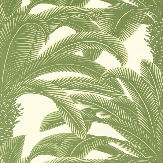 Queen Palm Wallpaper - Sage - Thibaut - T13911 - Premier Wallcovering
