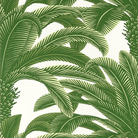 Queen Palm Wallpaper - Green - Thibaut - T13907 - Premier Wallcovering