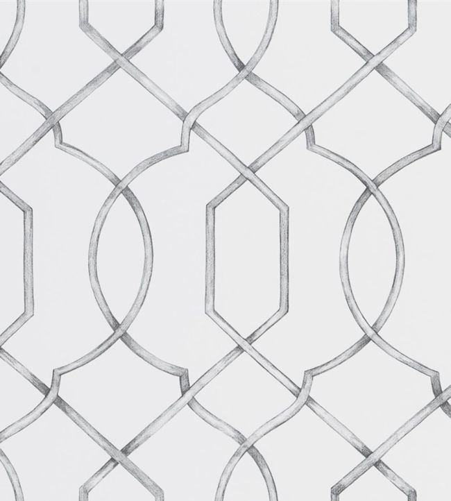 Rabeschi Wallpaper - Black And White - PDG1027/01 - Designers Guild - Premier Wallcovering