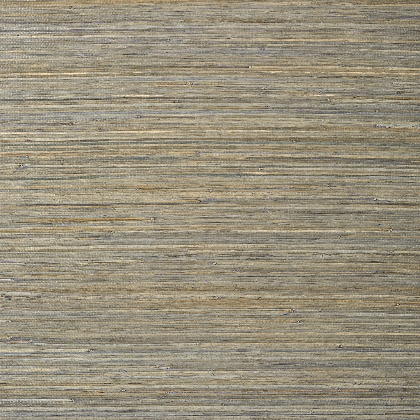 Raffia Palm Wallpaper - Grey - Thibaut - T24067 - Premier Wallcovering