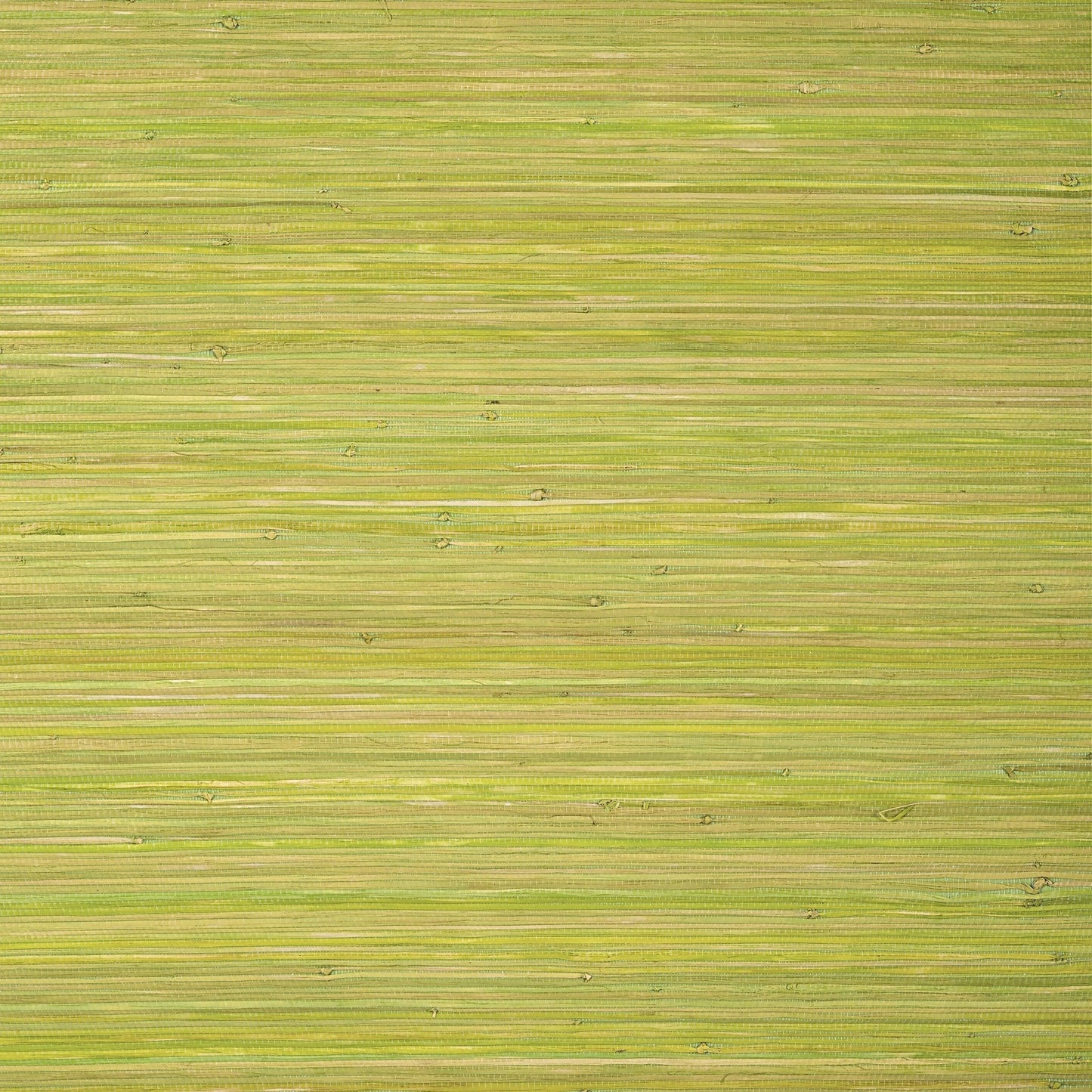 Raffia Palm Wallpaper - Apple Green - Thibaut - T24070 - Premier Wallcovering