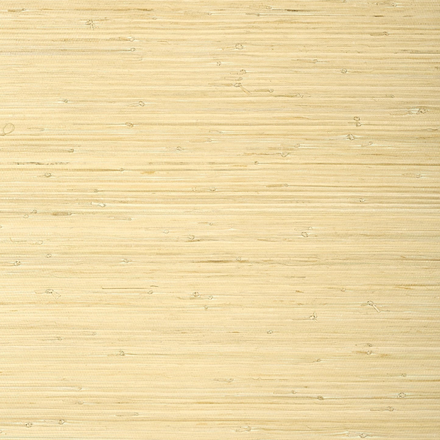Raffia Palm Wallpaper - Natural - Thibaut - T24065 - Premier Wallcovering