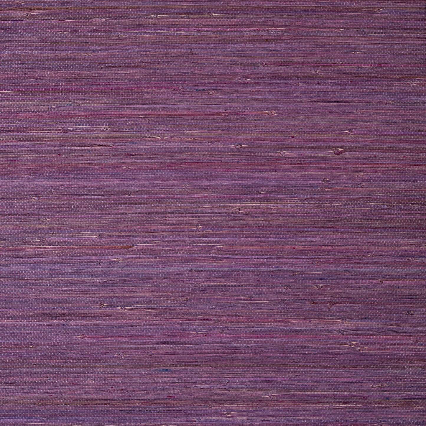 Raffia Palm Wallpaper - Plum - Thibaut - T24064 - Premier Wallcovering
