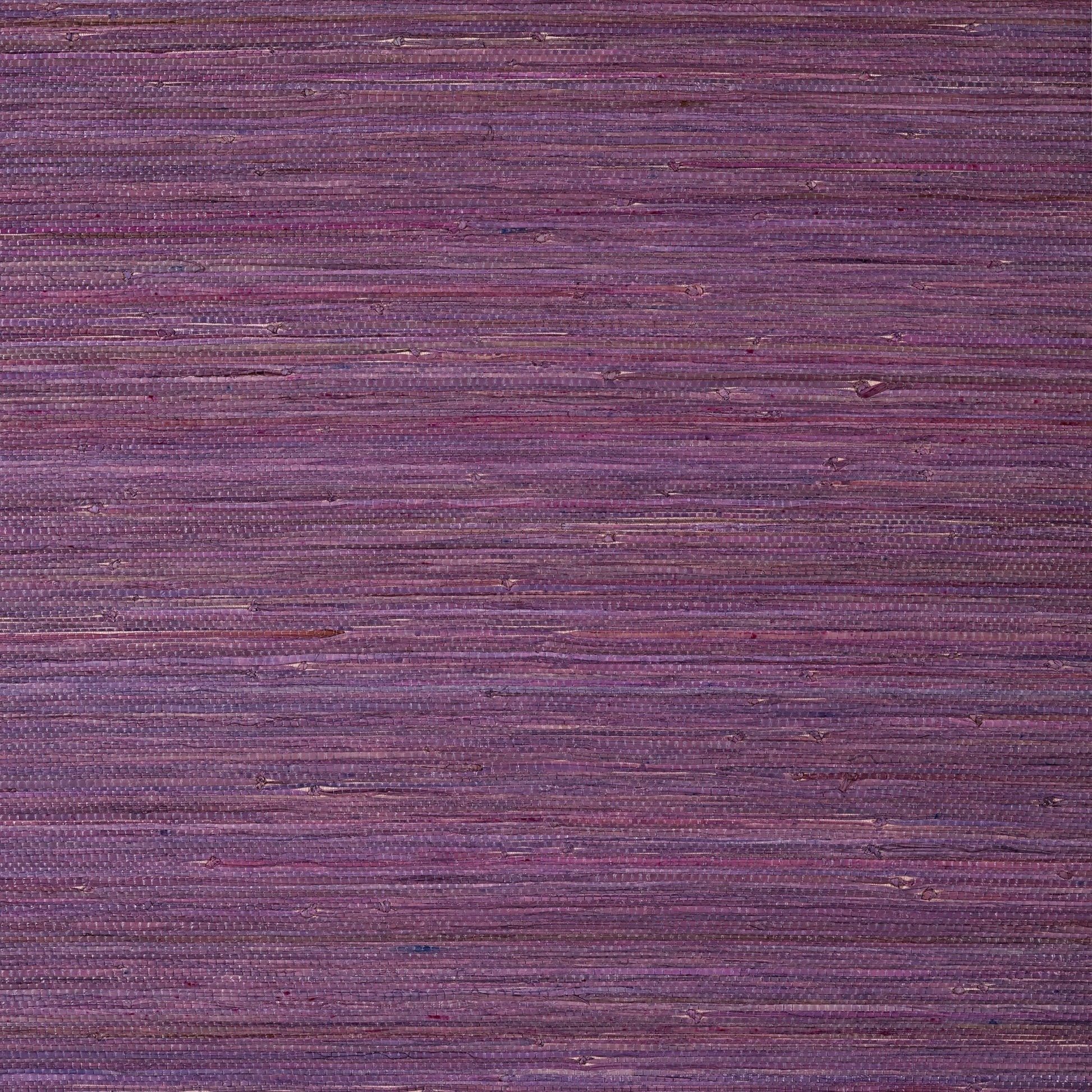 Raffia Palm Wallpaper - Plum - Thibaut - T24064 - Premier Wallcovering