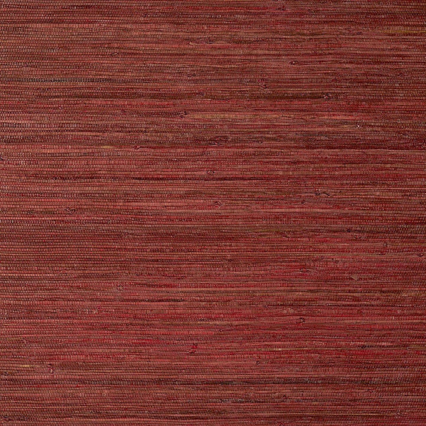 Raffia Palm Wallpaper - Sun Baked - Thibaut - T24068 - Premier Wallcovering