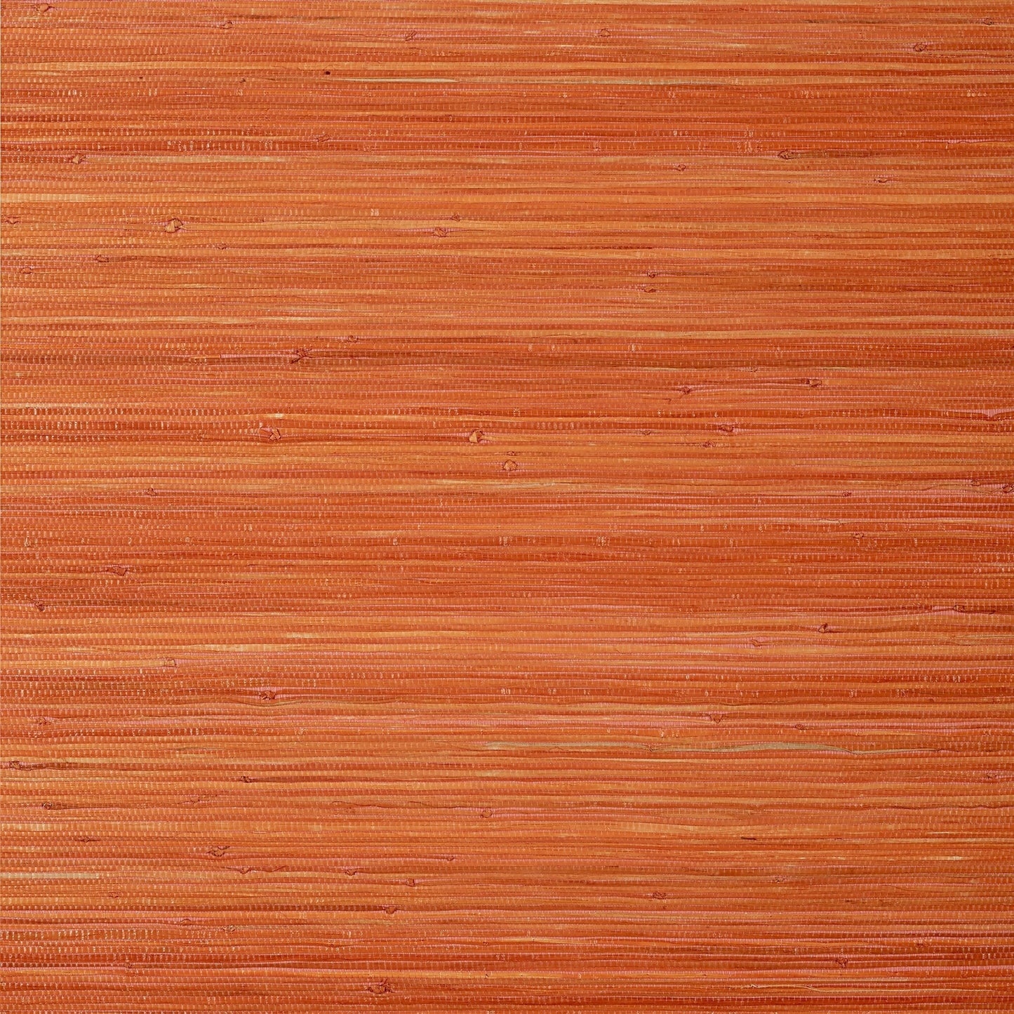 Raffia Palm Wallpaper - Orange - Thibaut - T24072 - Premier Wallcovering