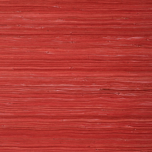 Raffia Palm Wallpaper - Red - Thibaut - T24071 - Premier Wallcovering