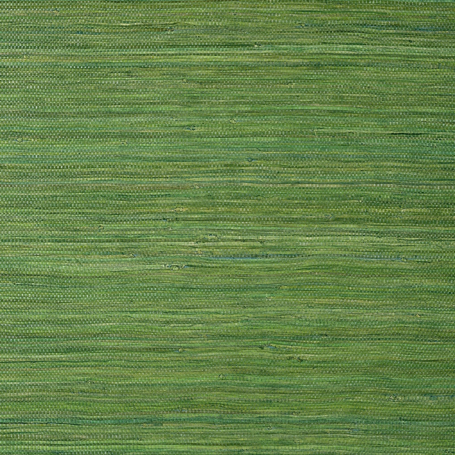 Raffia Palm Wallpaper - Emerald Green - Thibaut - T24074 - Premier Wallcovering