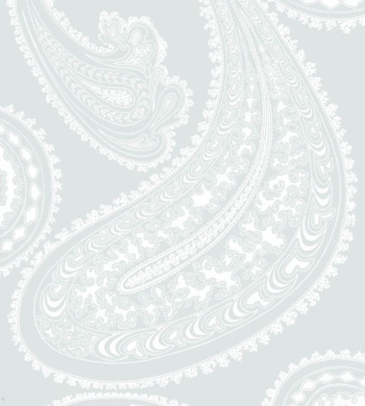 Rajapur Wallpaper - Chalk on Powder Blue - 95/2013 - Cole & Son - Premier Wallcovering