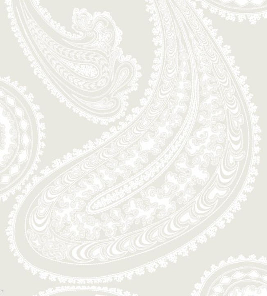 Rajapur Wallpaper - Chalk on Parchment - 95/2010 - Cole & Son - Premier Wallcovering