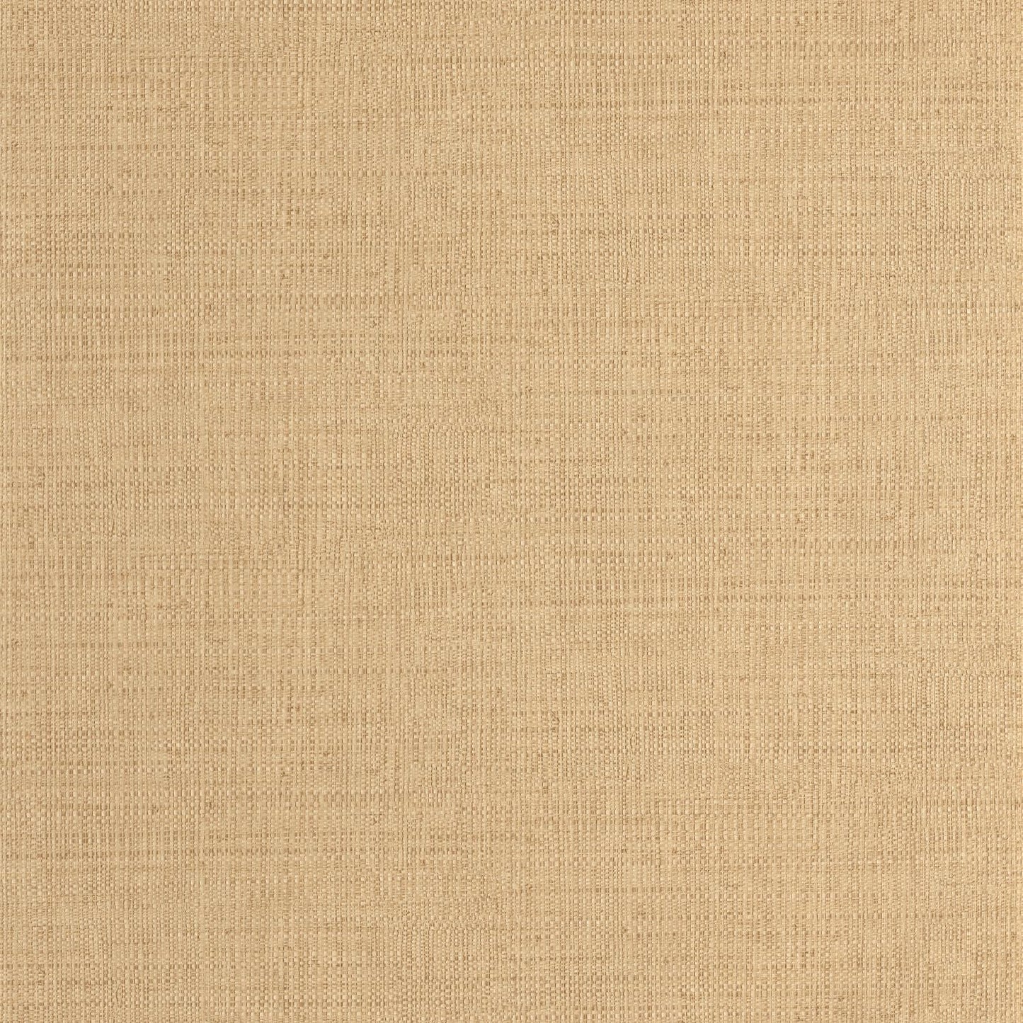 Raphia Wallpaper - Vanille - Caselio - 105971245 - Premier Wallcovering