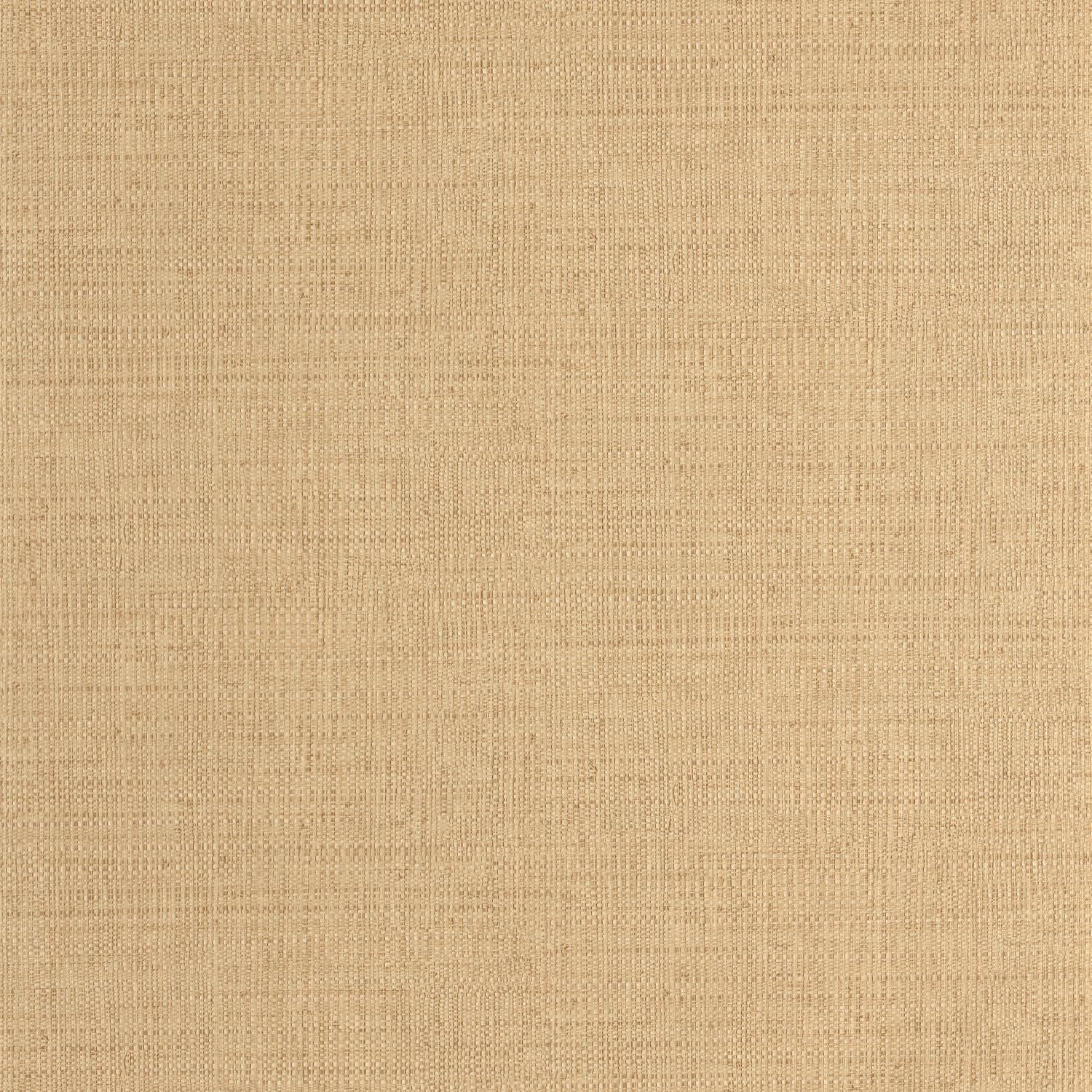 Raphia Wallpaper - Vanille - Caselio - 105971245 - Premier Wallcovering