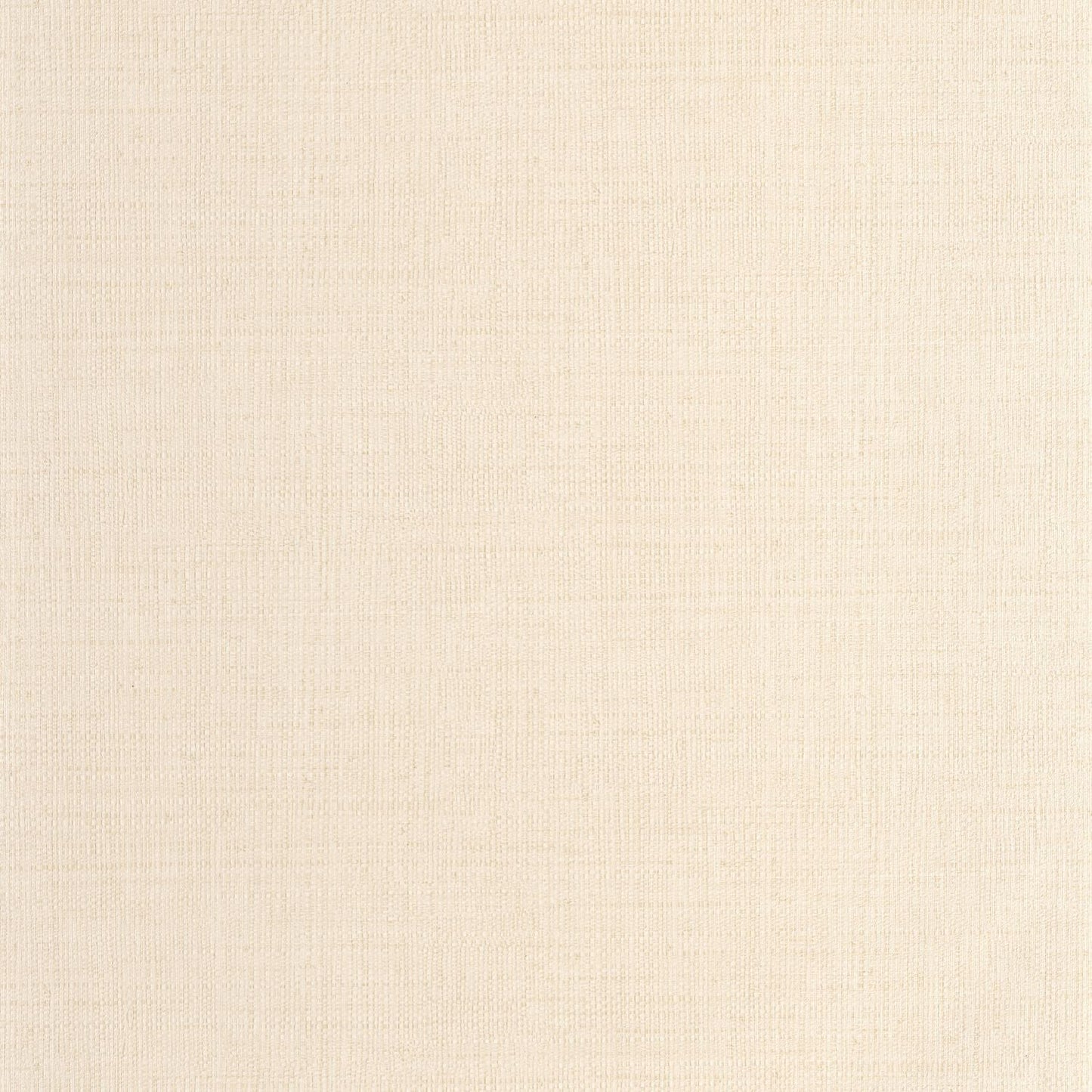 Raphia Wallpaper - Creme - Caselio - 105971000 - Premier Wallcovering