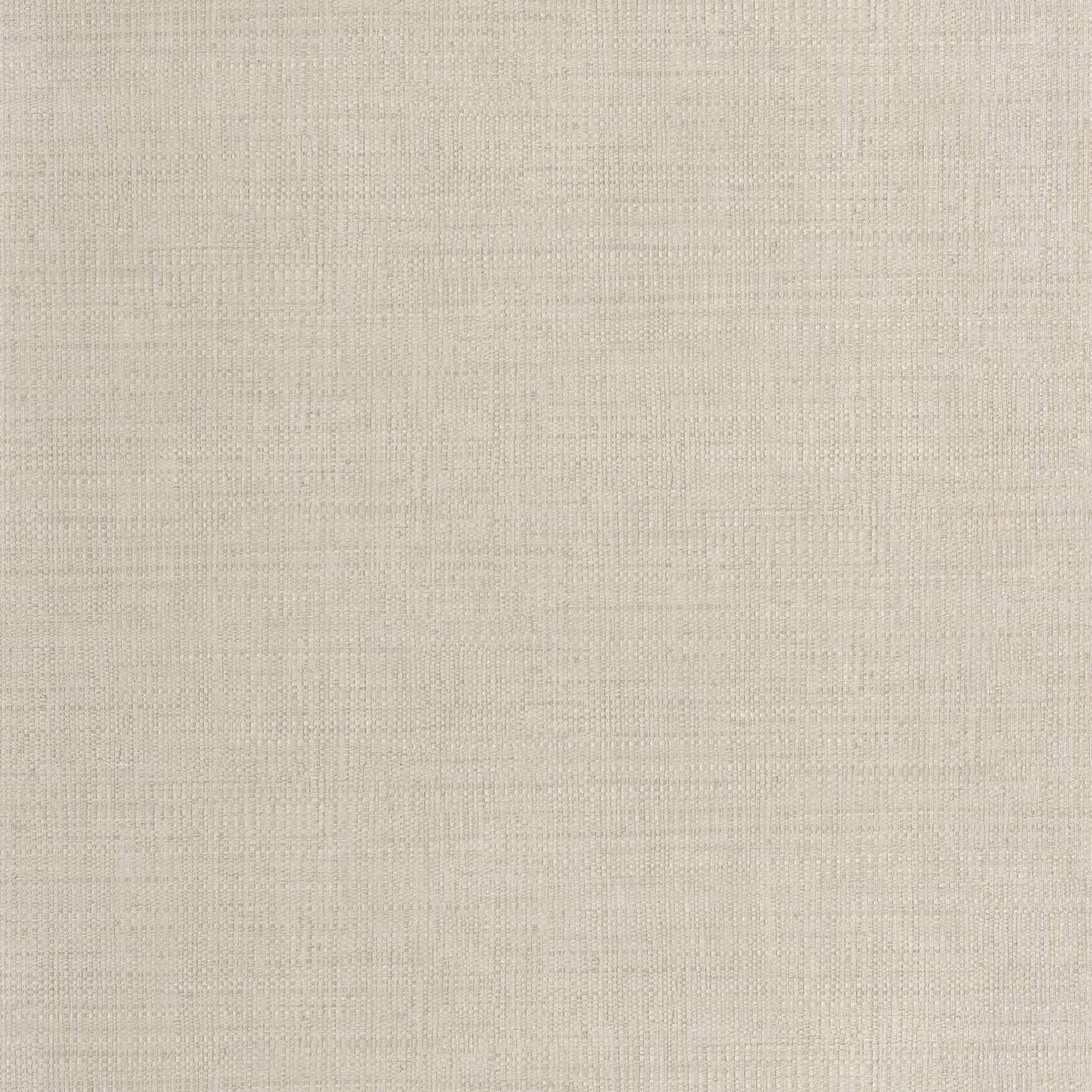 Raphia Wallpaper - Taupe - Caselio - 105971664 - Premier Wallcovering