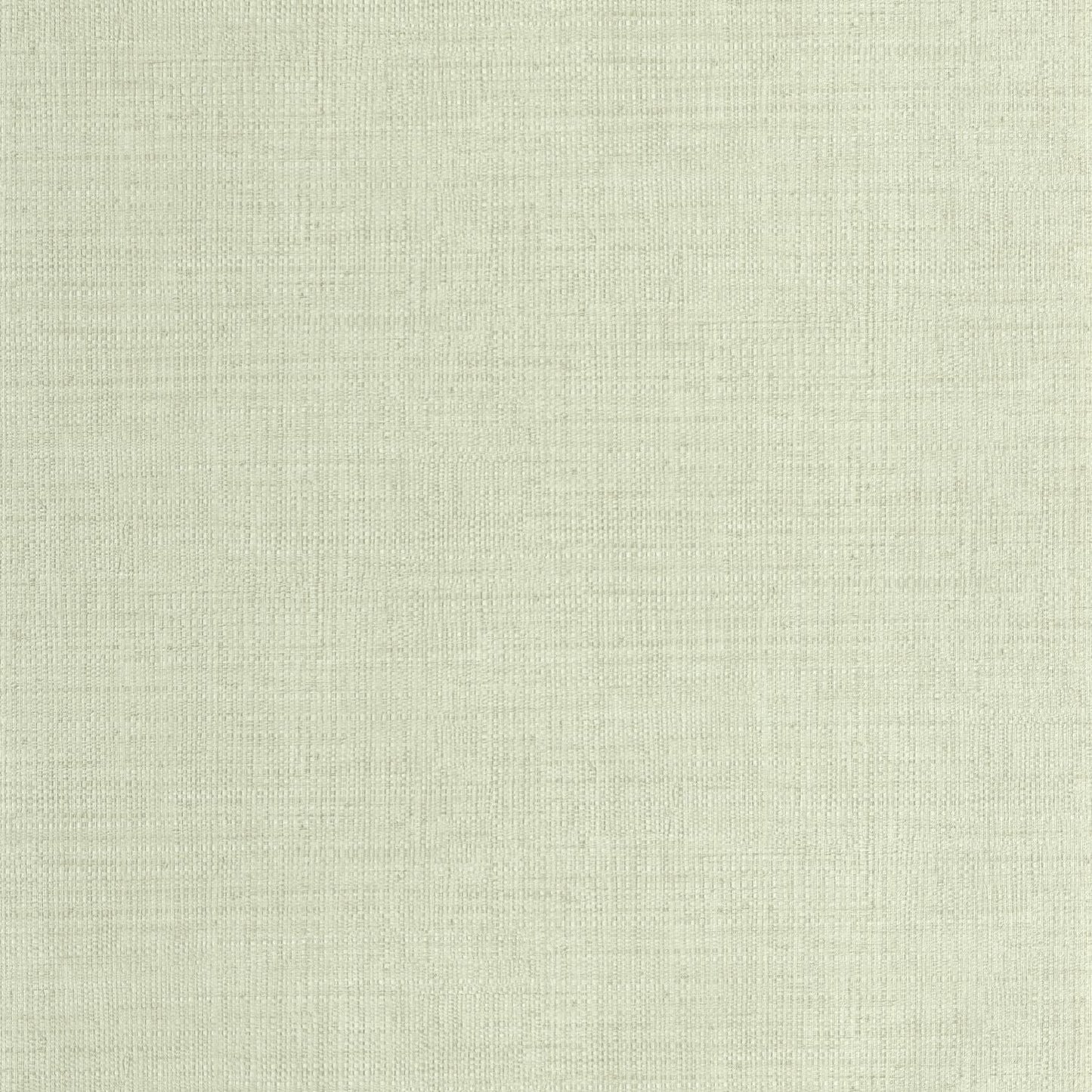 Raphia Wallpaper - Vert D'eau - Caselio - 105977000 - Premier Wallcovering