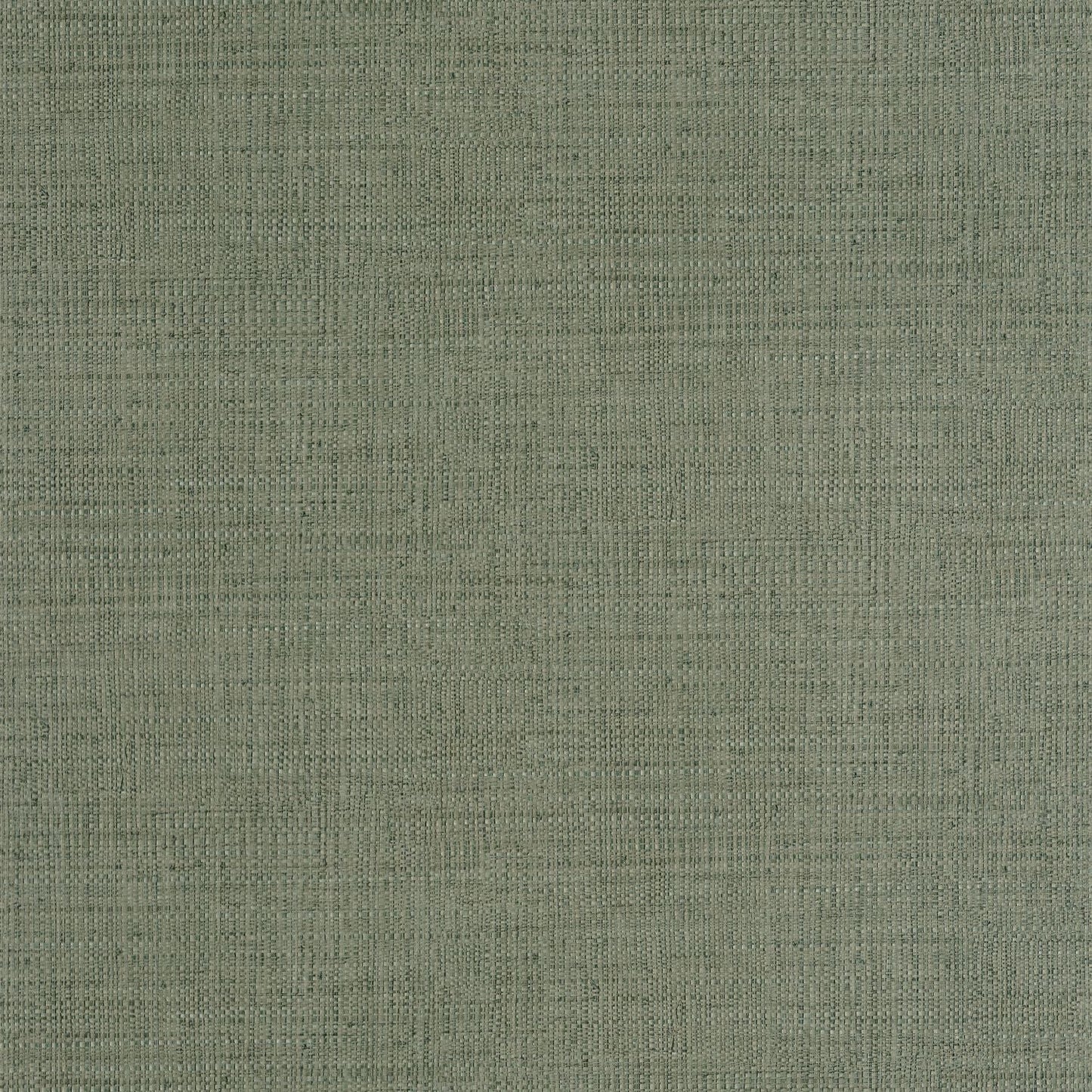 Raphia Wallpaper - Vert Mousse - Caselio - 105977206 - Premier Wallcovering