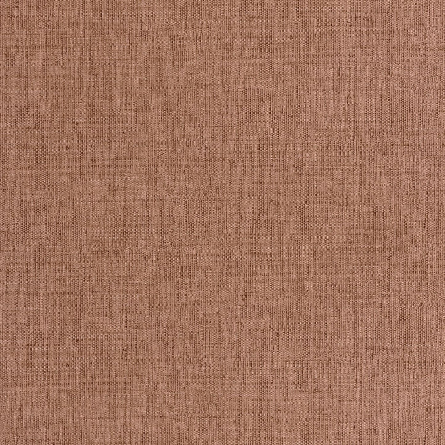 Raphia Wallpaper - Noisette - Caselio - 105972080 - Premier Wallcovering