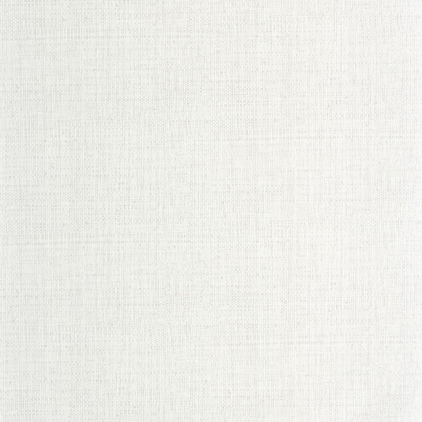 Raphia Wallpaper - Neige - Caselio - 105970155 - Premier Wallcovering