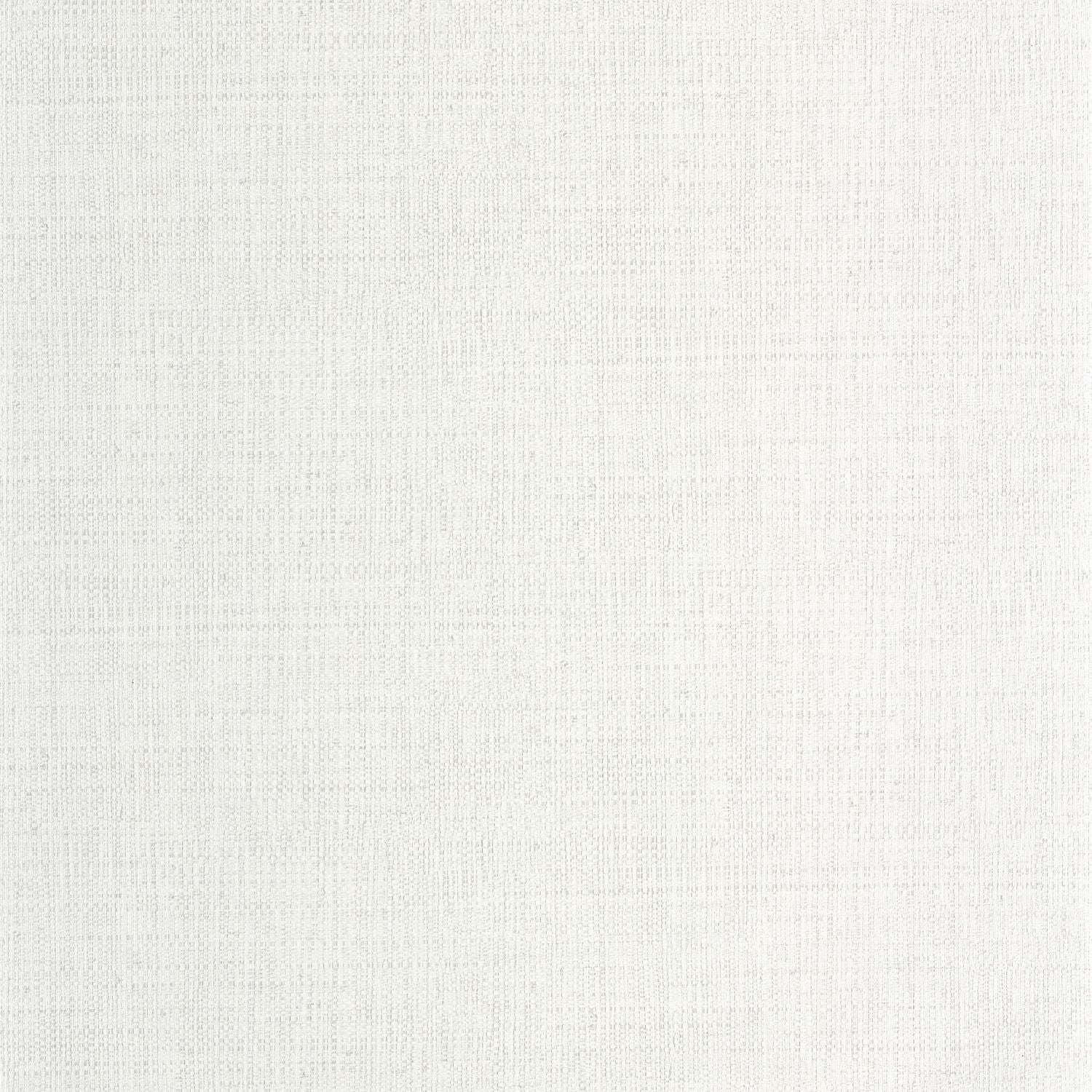 Raphia Wallpaper - Neige - Caselio - 105970155 - Premier Wallcovering