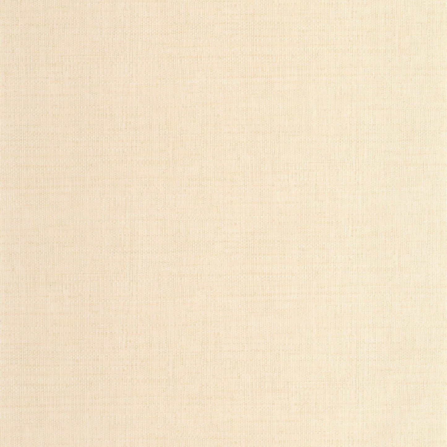 Raphia Wallpaper - Beige - Caselio - 105971150 - Premier Wallcovering