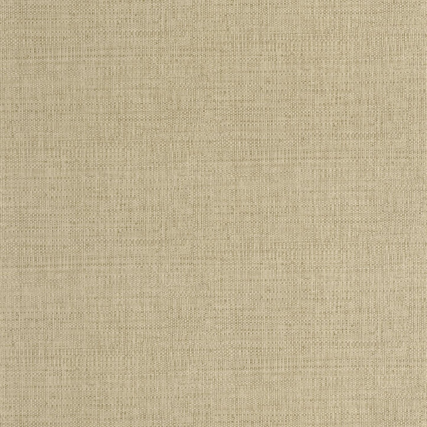 Raphia Wallpaper - Kaki - Caselio - 105977170 - Premier Wallcovering