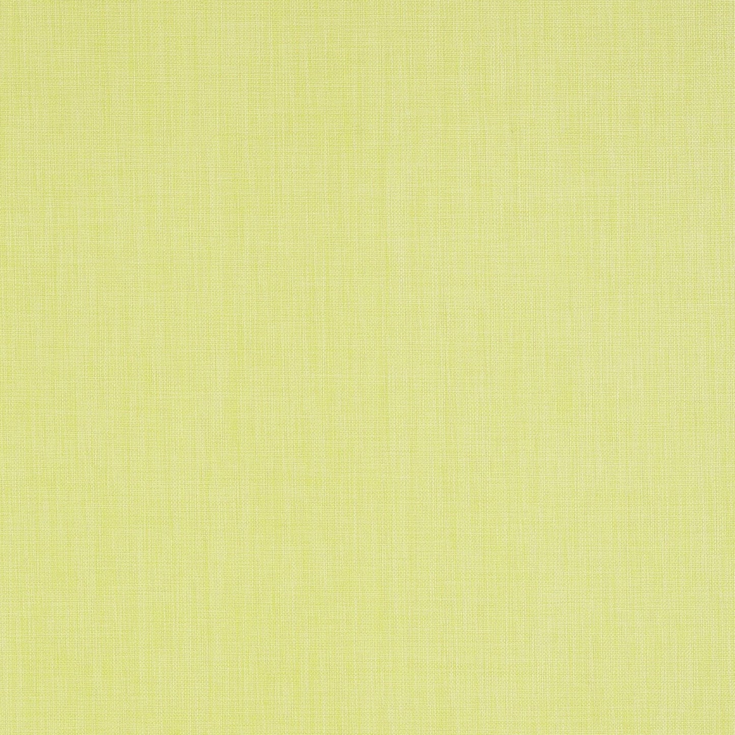 Regatta Raffia Wallpaper - Citrus - Thibaut - T5706 - Premier Wallcovering