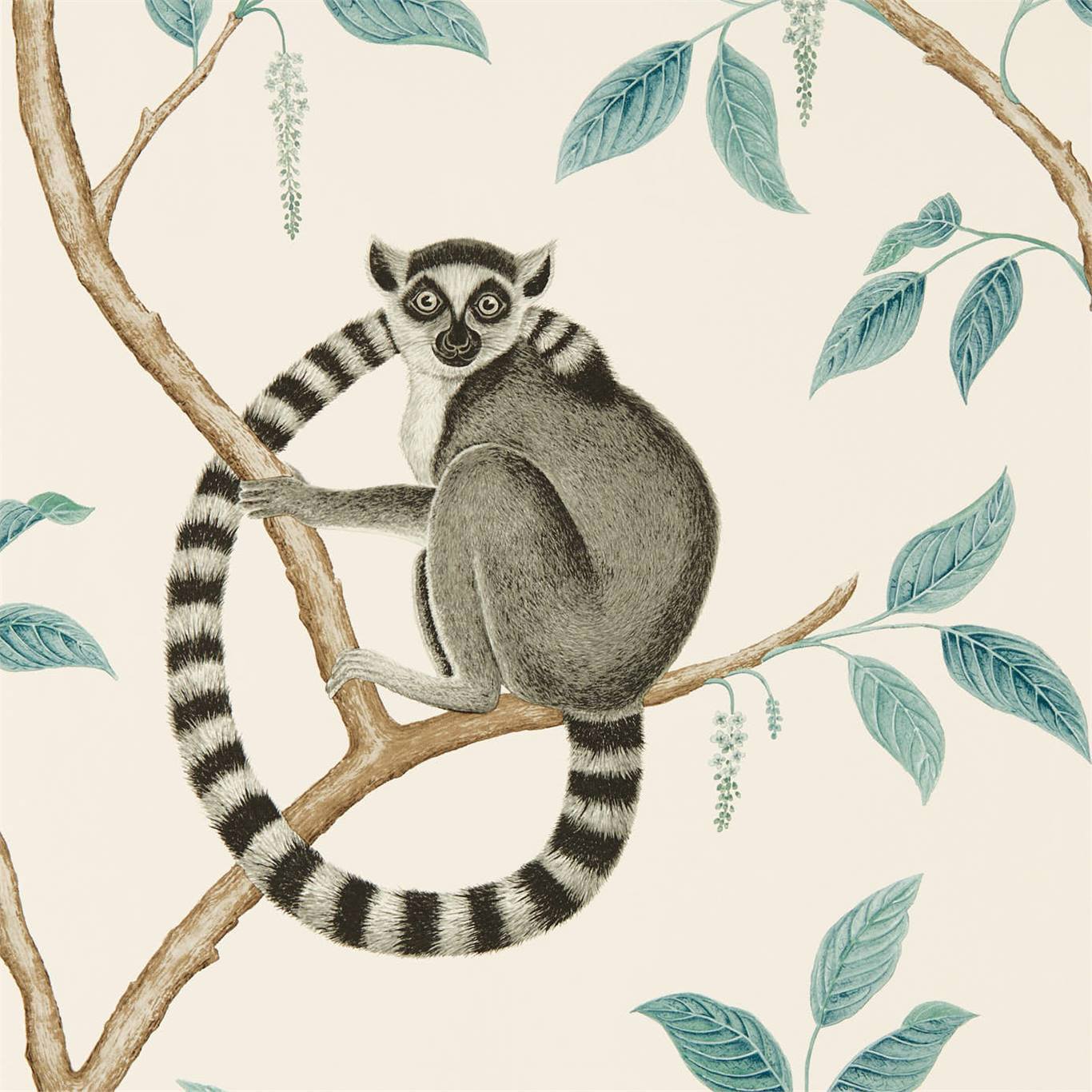 Ringtailed Lemur Wallpaper - Stone/Eucalyptus - Sanderson - DGLW216665 - Premier Wallcovering
