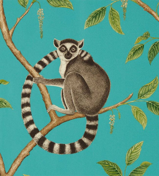 Ringtailed Lemur Wallpaper - Teal - DGLW216663 - Sanderson - Premier Wallcovering