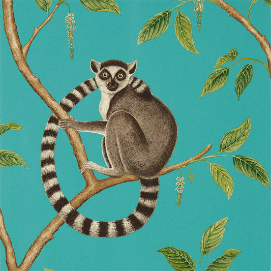 Ringtailed Lemur Wallpaper - Teal - Sanderson - DGLW216663 - Premier Wallcovering
