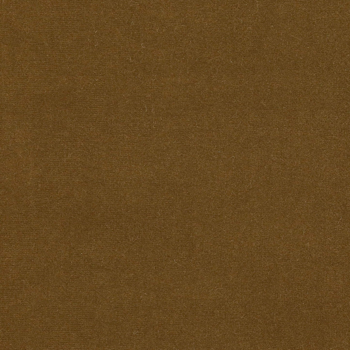 Rivoli Fabric - Castor - Manuel Canovas - 04982/38 - Premier Wallcovering