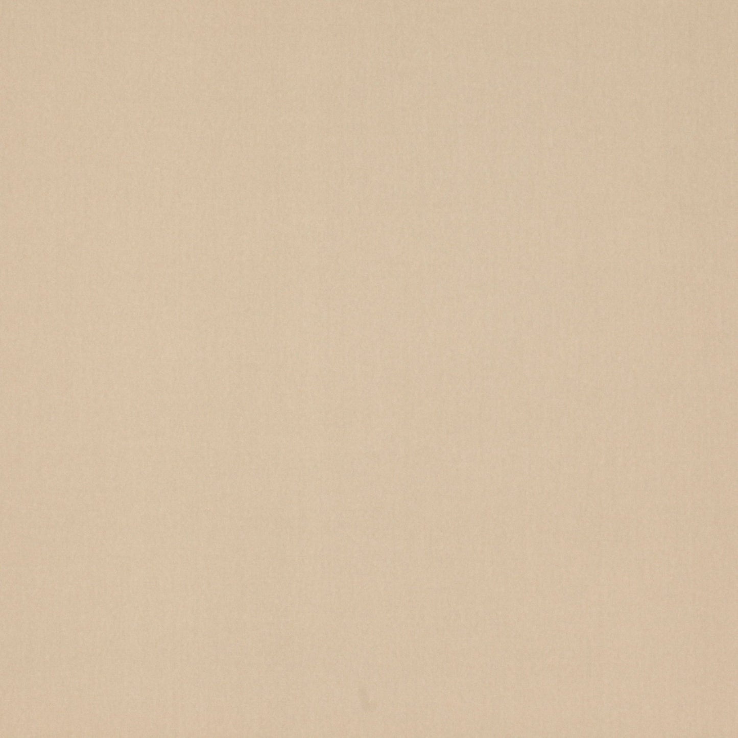 Rivoli Fabric - Mastic - Manuel Canovas - 04982/03 - Premier Wallcovering