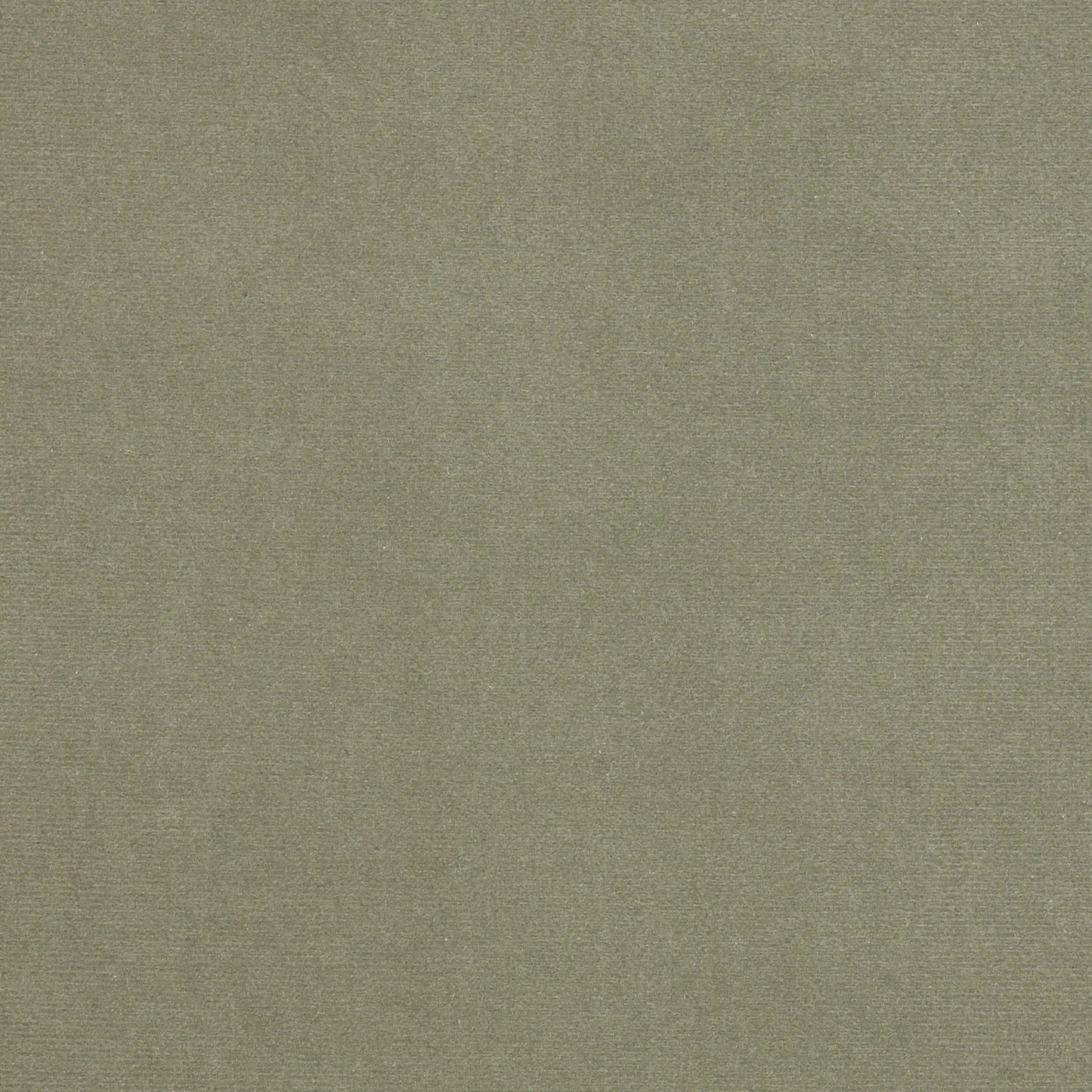 Rivoli Fabric - Argent - Manuel Canovas - 04982/36 - Premier Wallcovering