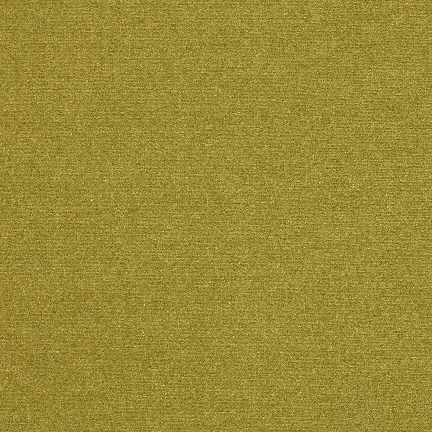 Rivoli Fabric - Kaki - Manuel Canovas - 04982/50 - Premier Wallcovering