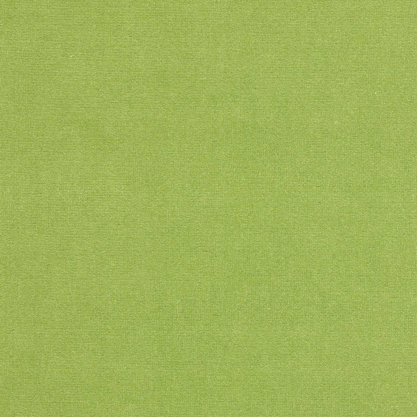 Rivoli Fabric - Laurier - Manuel Canovas - 04982/52 - Premier Wallcovering