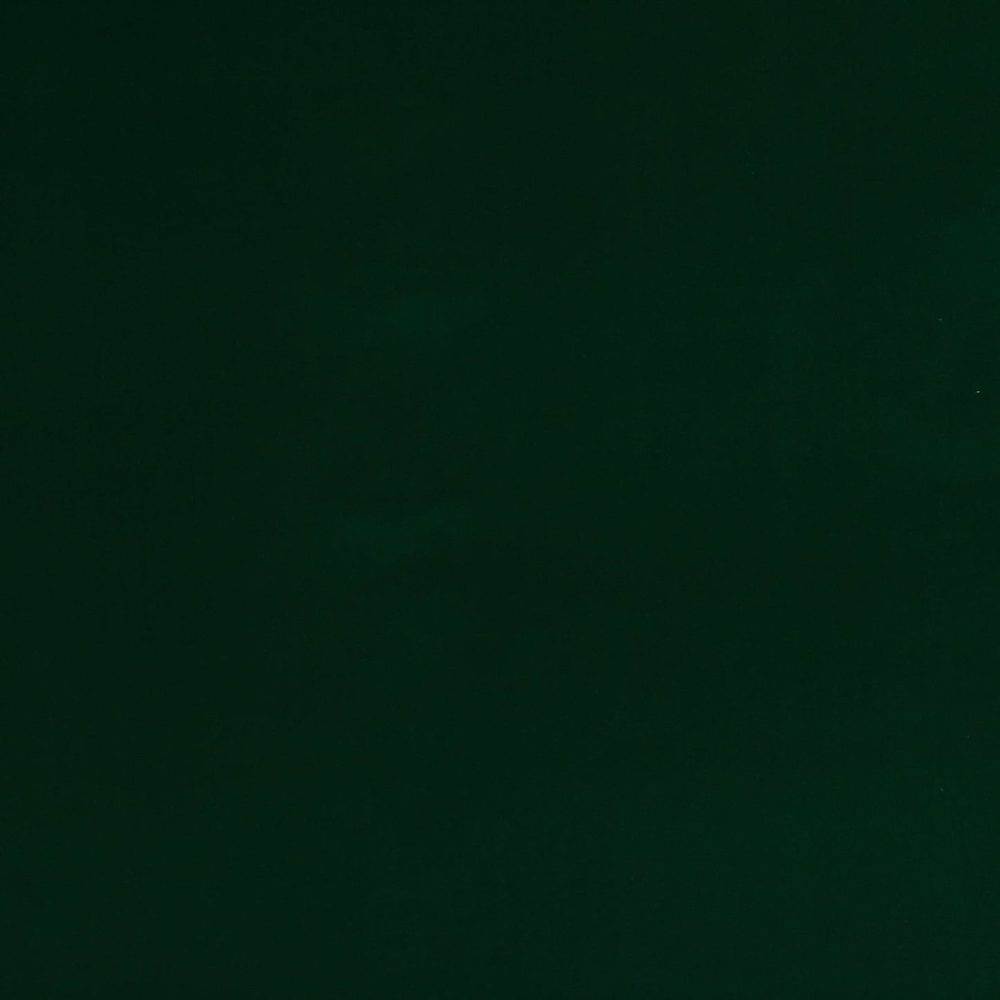 Rivoli Fabric - Emeraude - Manuel Canovas - 04982/20 - Premier Wallcovering