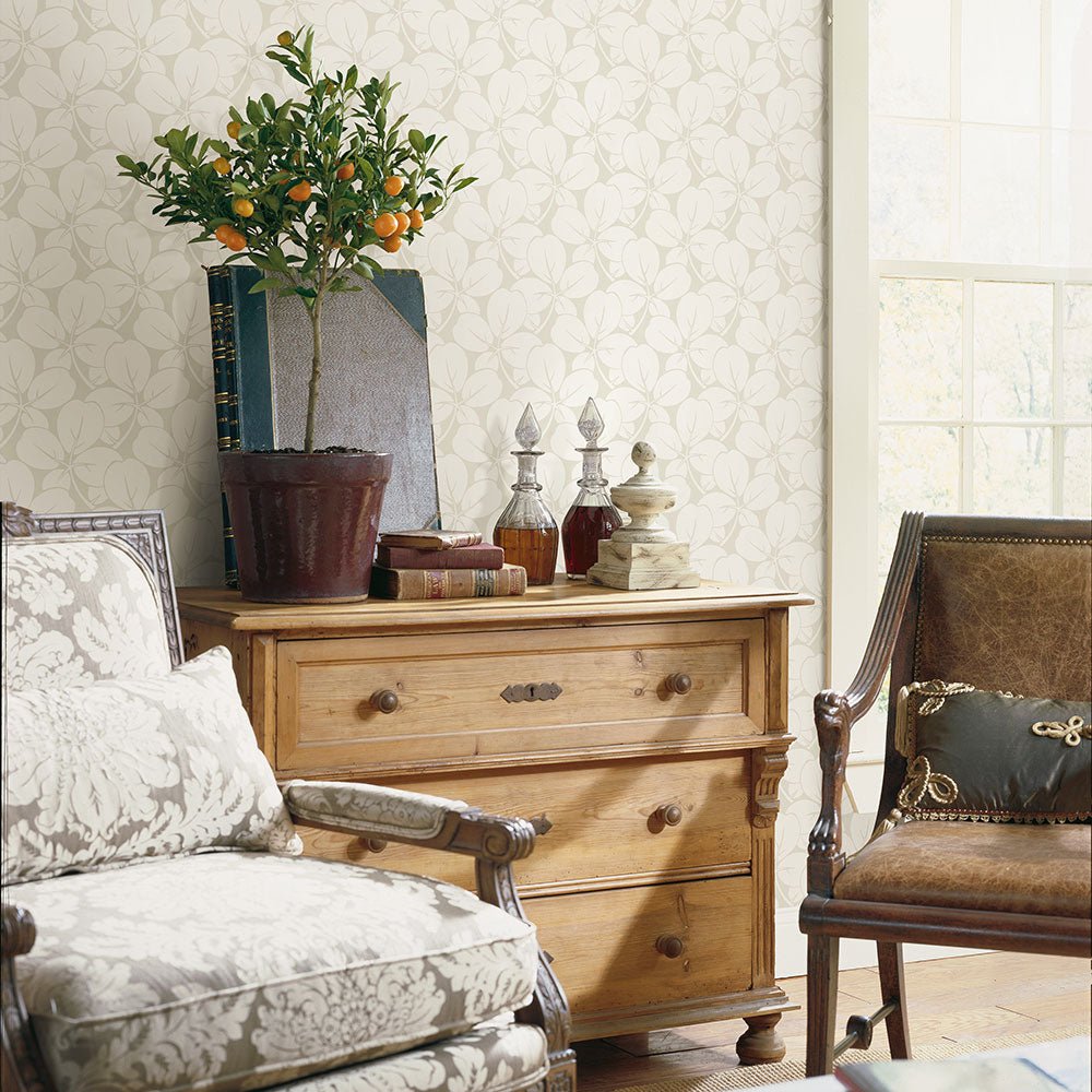 Robert Wallpaper - Off White - A Street Prints - FD26105 - Premier Wallcovering