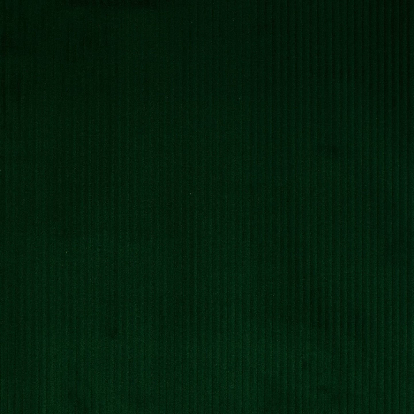 Roma Fabric - Emeraude - Manuel Canovas - M4058-11 - Premier Wallcovering