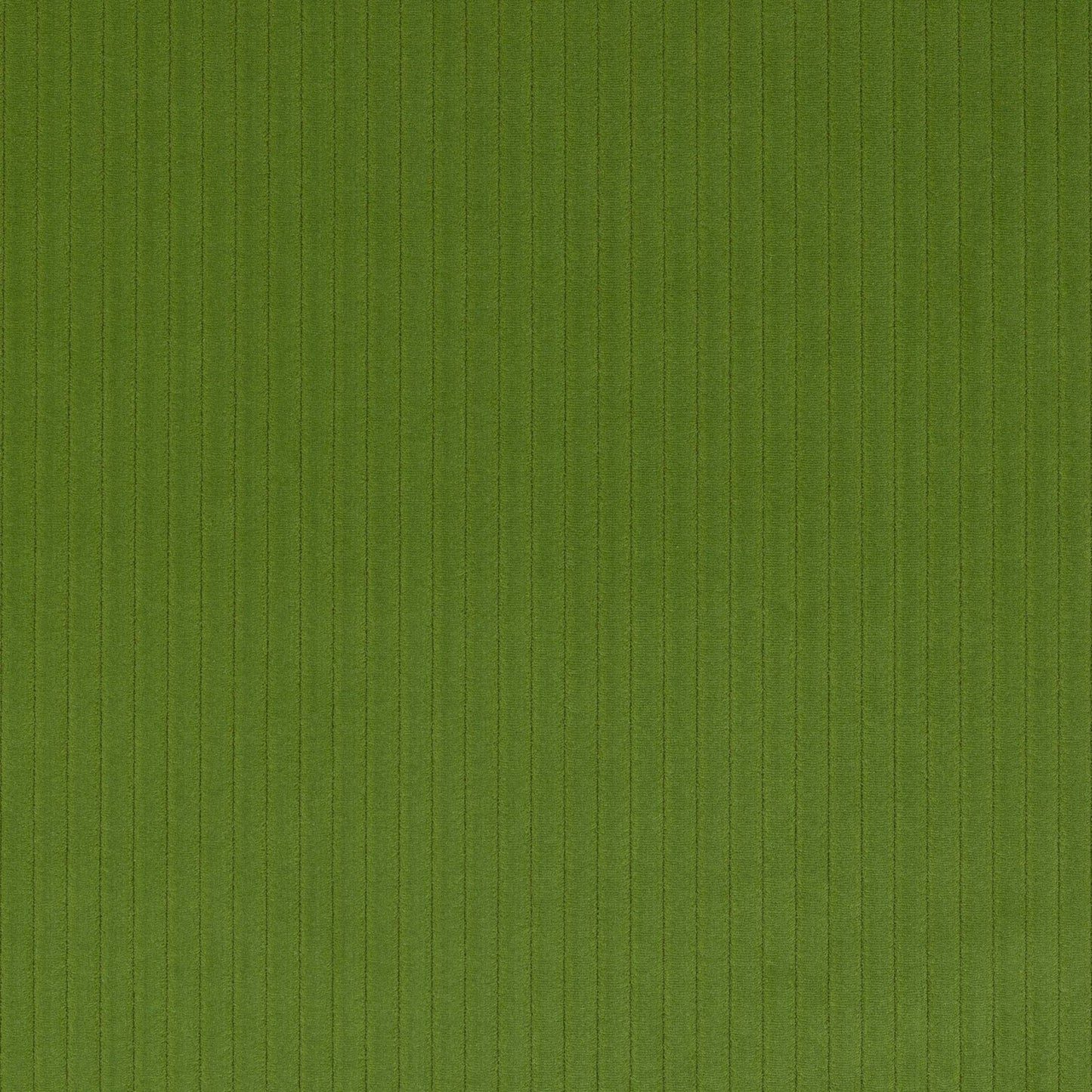 Roma Fabric - Prairie - Manuel Canovas - M4058-10 - Premier Wallcovering