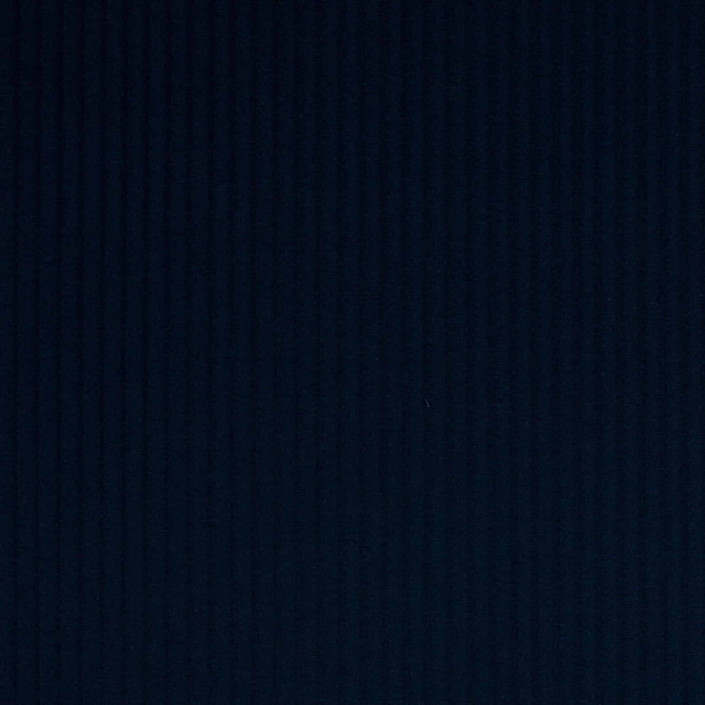 Roma Fabric - Nuit - Manuel Canovas - M4058-09 - Premier Wallcovering