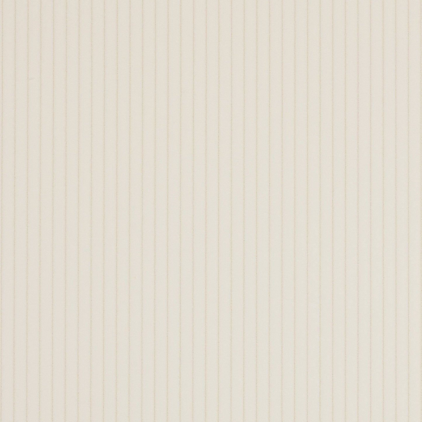 Roma Fabric - Ivoire - Manuel Canovas - M4058-01 - Premier Wallcovering