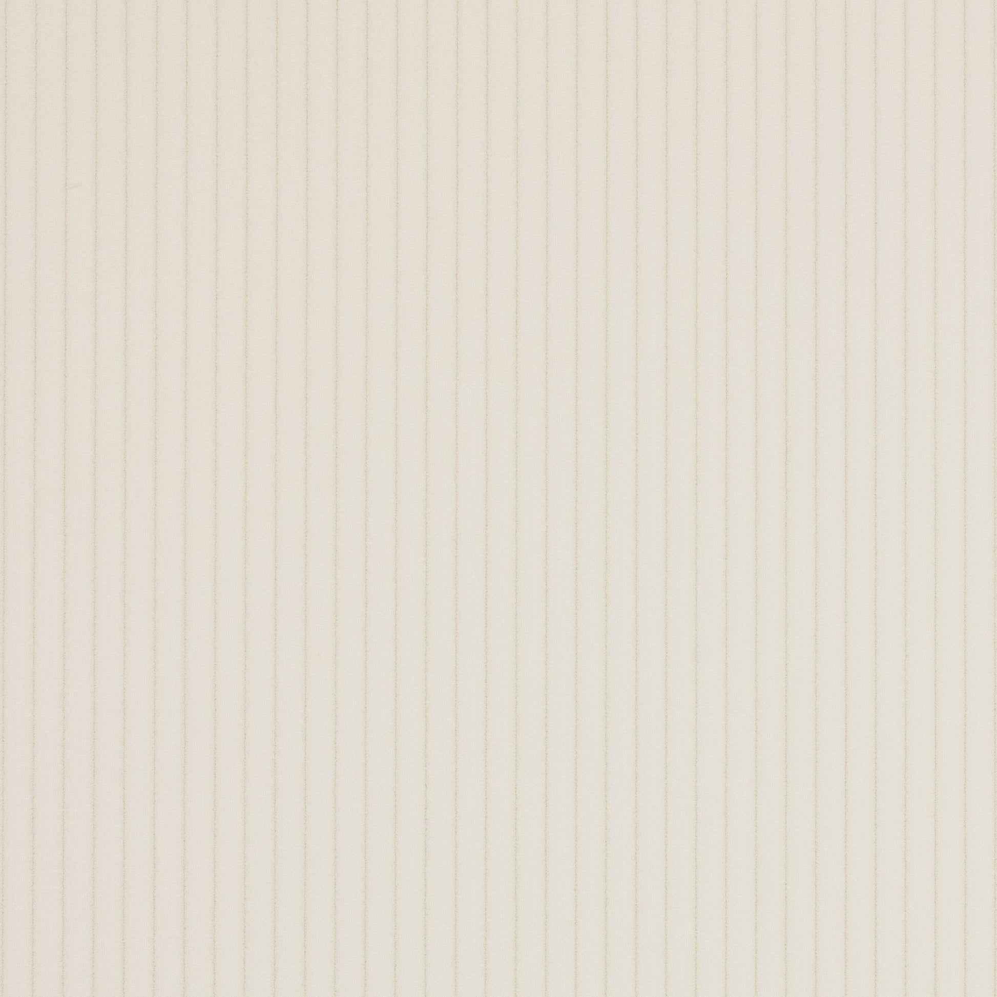 Roma Fabric - Ivoire - Manuel Canovas - M4058-01 - Premier Wallcovering