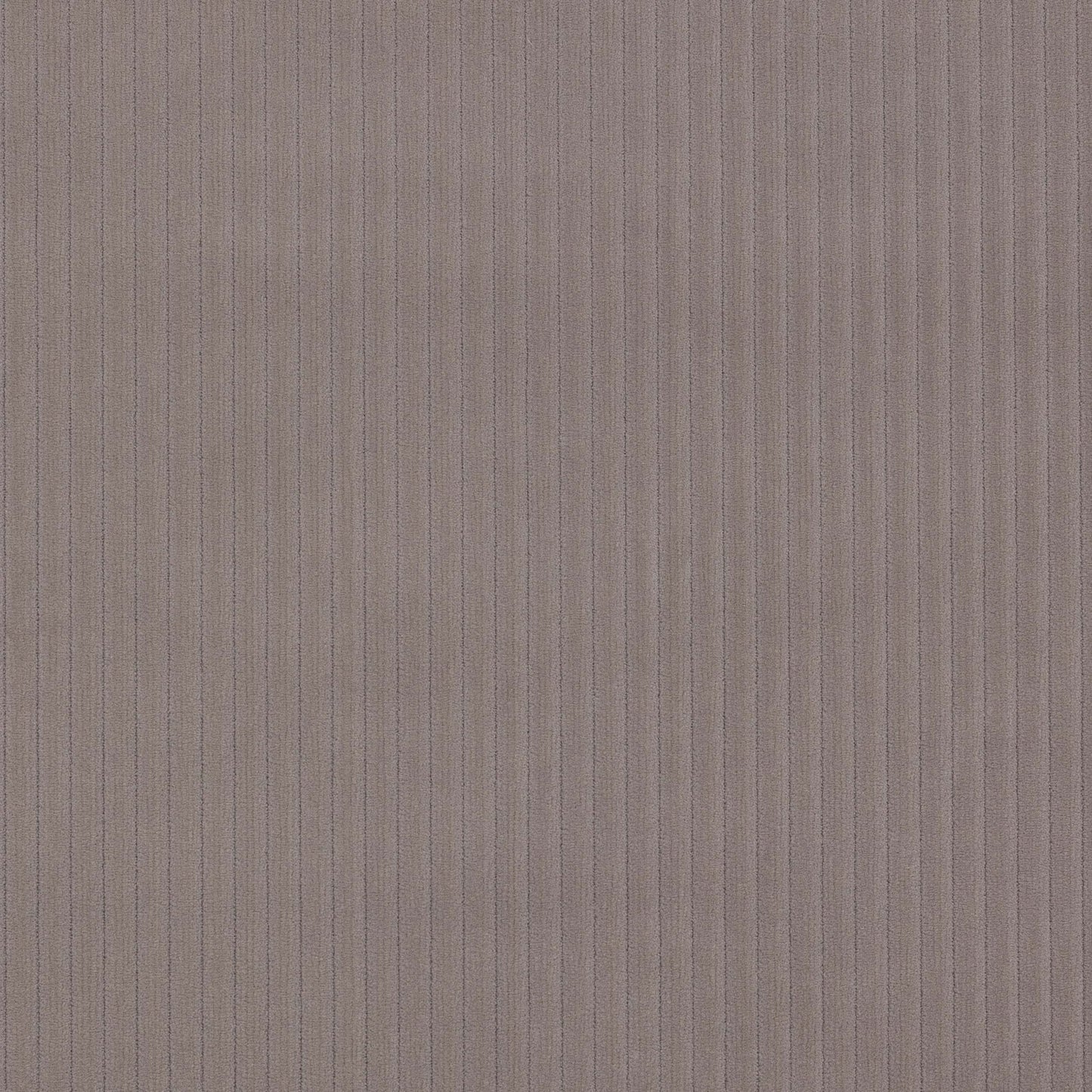 Roma Fabric - Silex - Manuel Canovas - M4058-04 - Premier Wallcovering